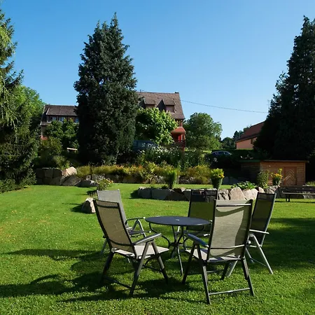 호텔 Restaurant Des Vosges 3*