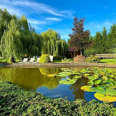 Restaurant Des Vosges Hotel Birkenwald