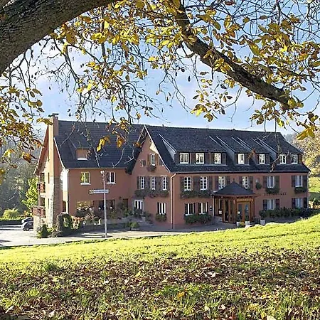 Hotel Restaurant Des Vosges 3*