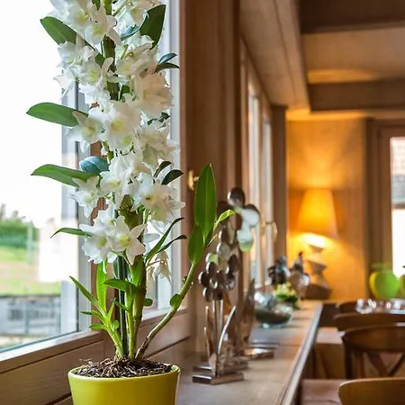 호텔 Restaurant Des Vosges 3*