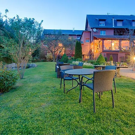 Hotel Restaurant Des Vosges Birkenwald