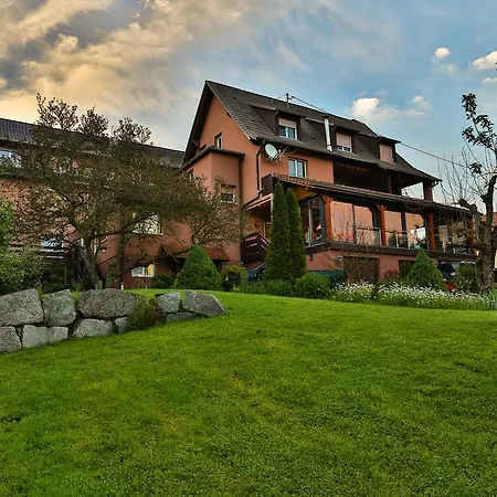 ホテル Restaurant Des Vosges 3*