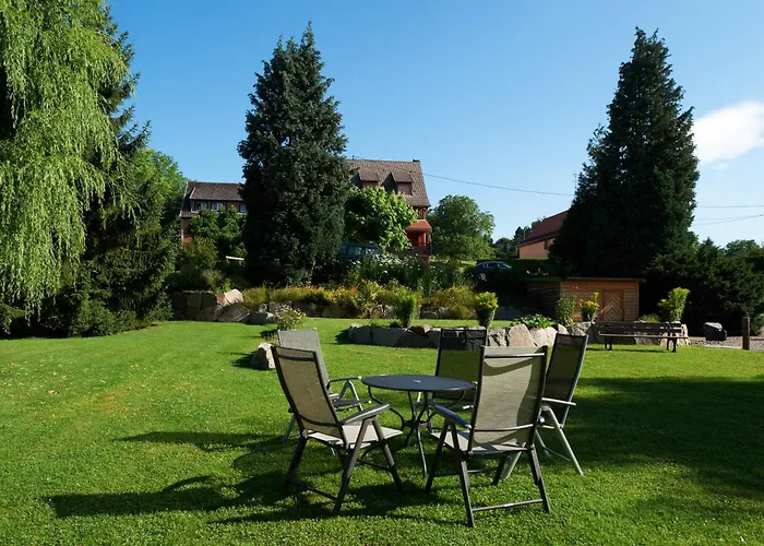 فندق Restaurant Des Vosges 3*