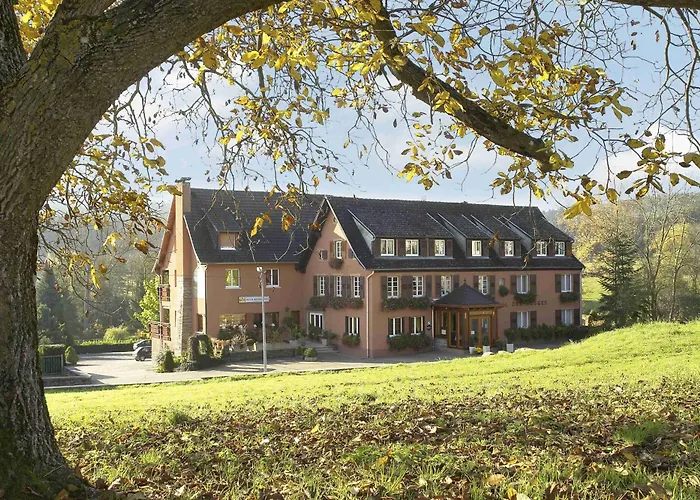 Restaurant Des Vosges 3*
