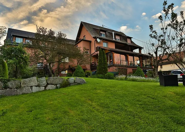 فندق Restaurant Des Vosges 3*
